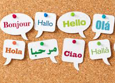 Báo giá dịch thuật